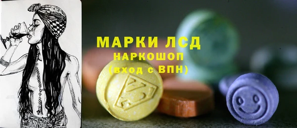 прущие грибы Абаза