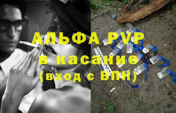 прущие грибы Абаза
