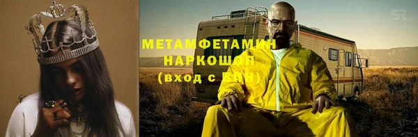 прущие грибы Абаза