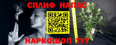 прущие грибы Ангарск