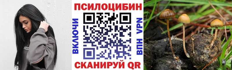 MEGA   Мегион  Галлюциногенные грибы ЛСД 