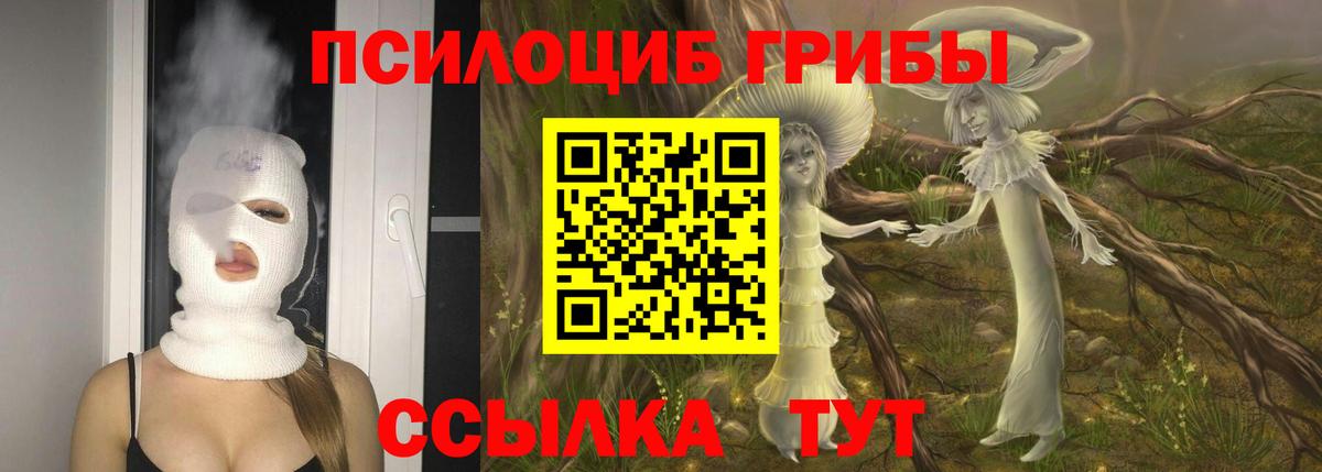 Псилоцибиновые грибы ЛСД Мегион